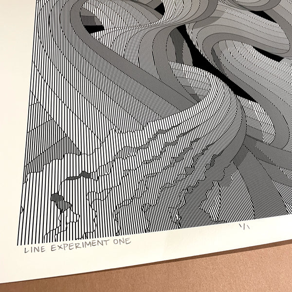 "Line Experiment One" - 18"x24" Original Test Print 1/1