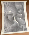 "Line Experiment Two" - 18"x24" Original Test Print 1/2