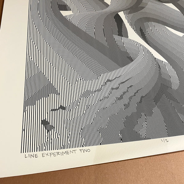 "Line Experiment Two" - 18"x24" Original Test Print 1/2