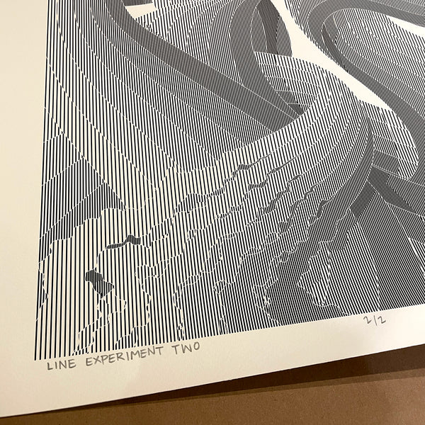 "Line Experiment Two" - 18"x24" Original Test Print 2/2