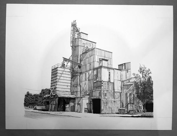 "R.O. Shelling" - 15"x12" Original Drawing